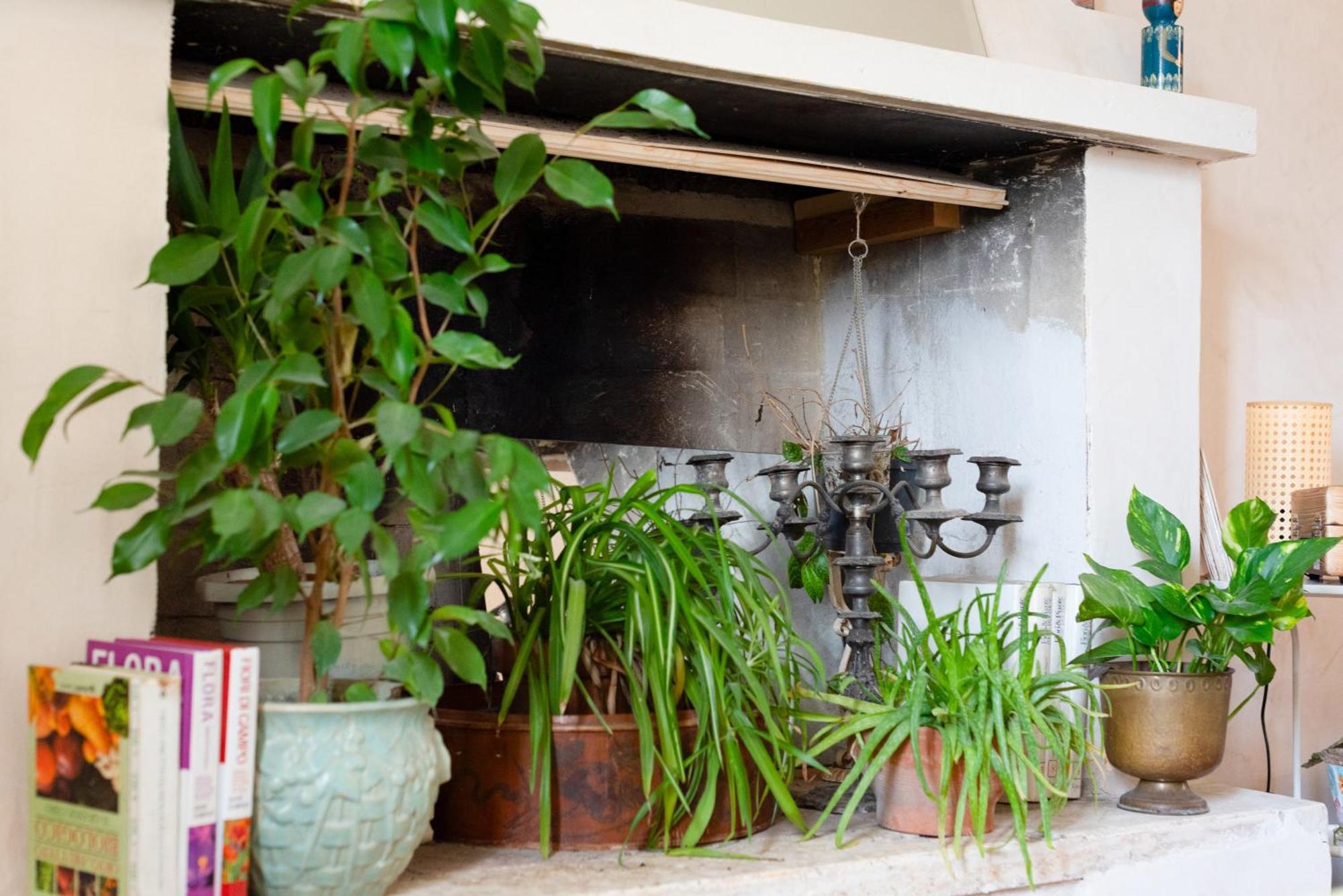 Botanica Apartment Calcata Luaran gambar